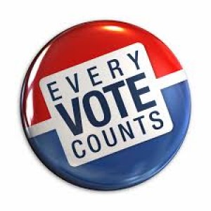 Every Vote Counts pin